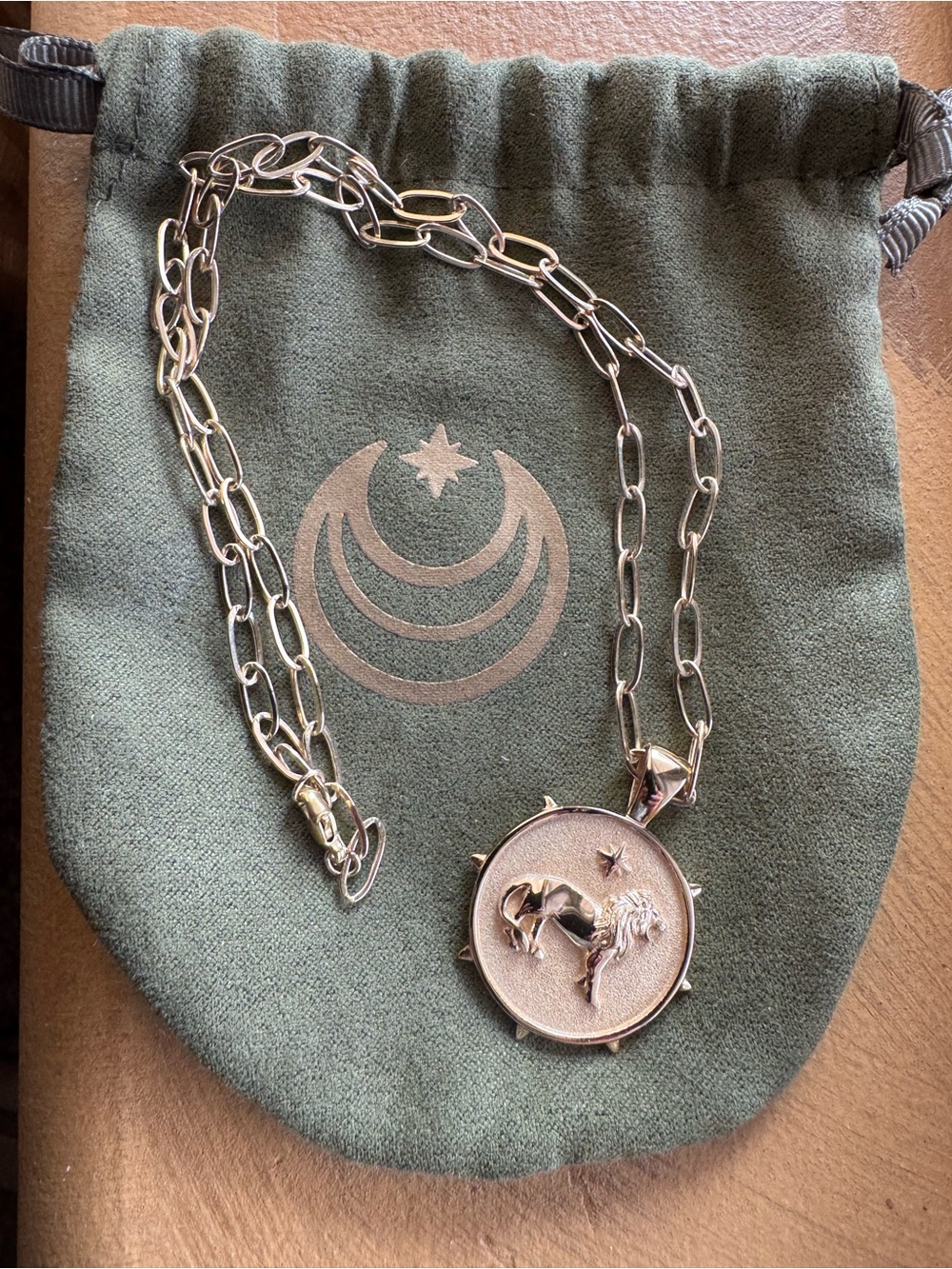 Jane Win Courage Small Pendant Coin with Chain - Picture 9 of 11